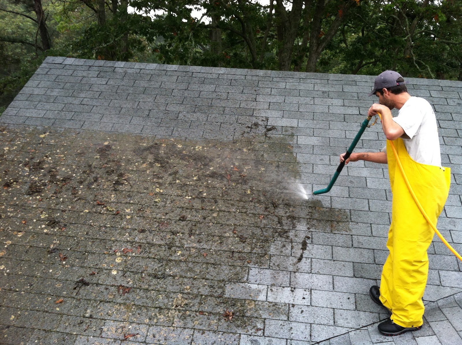 No Pressure Roof Cleaning in Stuart, FL